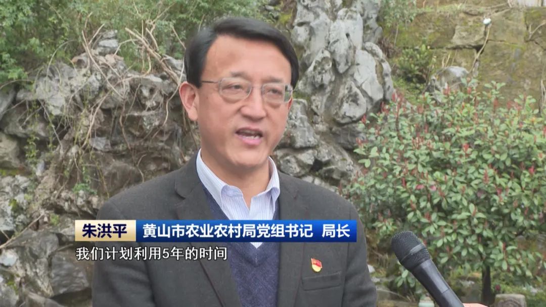 开云 开云体育平台稳步推进“千万工程”建设 绘就和美乡村新图景(图5)