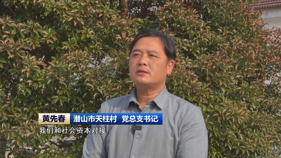 开云 开云体育平台稳步推进“千万工程”建设 绘就和美乡村新图景(图10)