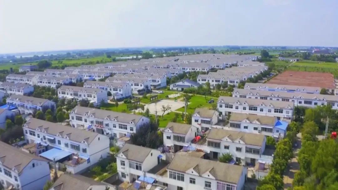 开云 开云体育平台稳步推进“千万工程”建设 绘就和美乡村新图景(图11)