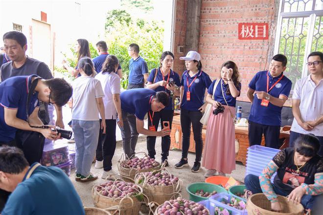 开云 开云体育官网“百千万工程”看茂名 “中国李乡”信宜：高速公路串起15个农文旅景区乡村振兴阔步前行(图9)