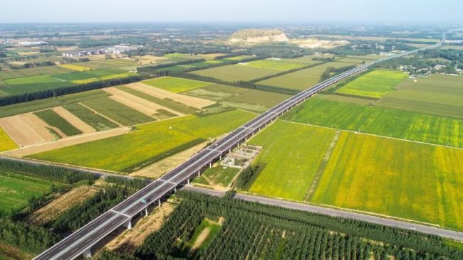 山东高速集团建设的8个项目荣获全国公路建设最高质量奖“李春奖”开云 开云体育官网(图3)