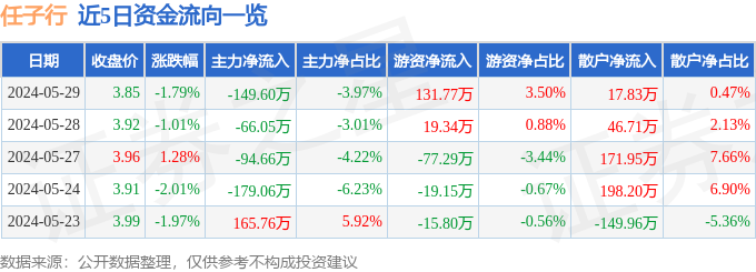任子行（300311）5月29日主力资金